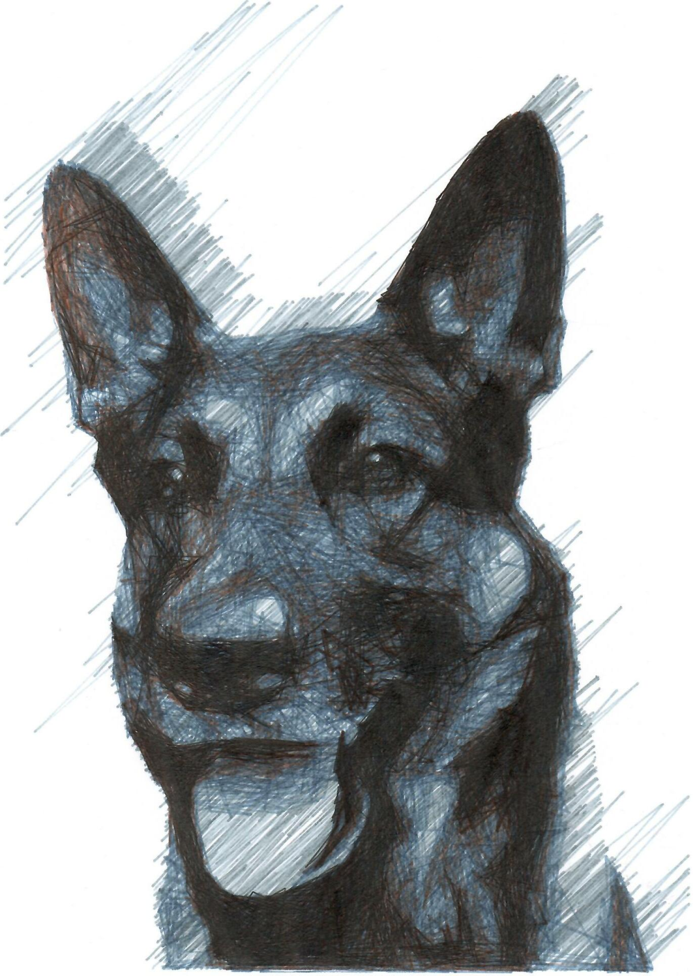 DrawBot artwork Scan 0100